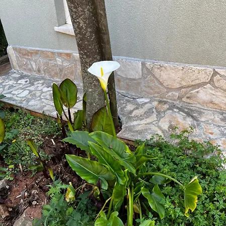 El Dorado Casa de Férias Premantura